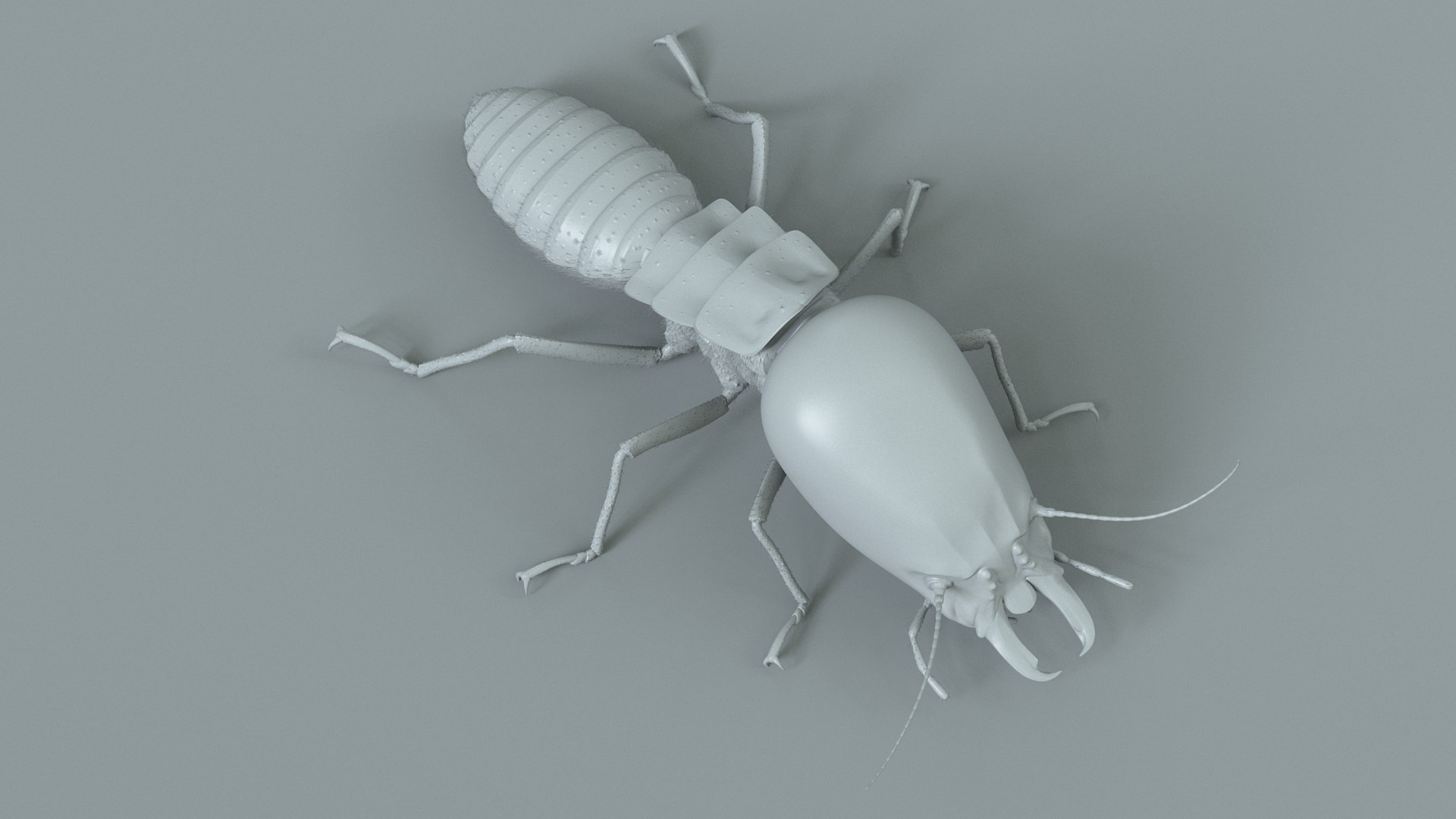 3D Termite Soldier Rigged Xgen https://p.turbosquid.com/ts-thumb/VG/I6dqz8/uv/termite_rigged_19/jpg/1715323018/1920x1080/fit_q87/5a7fb36e730368c76ae6a13d4f855f8ea3353d53/termite_rigged_19.jpg