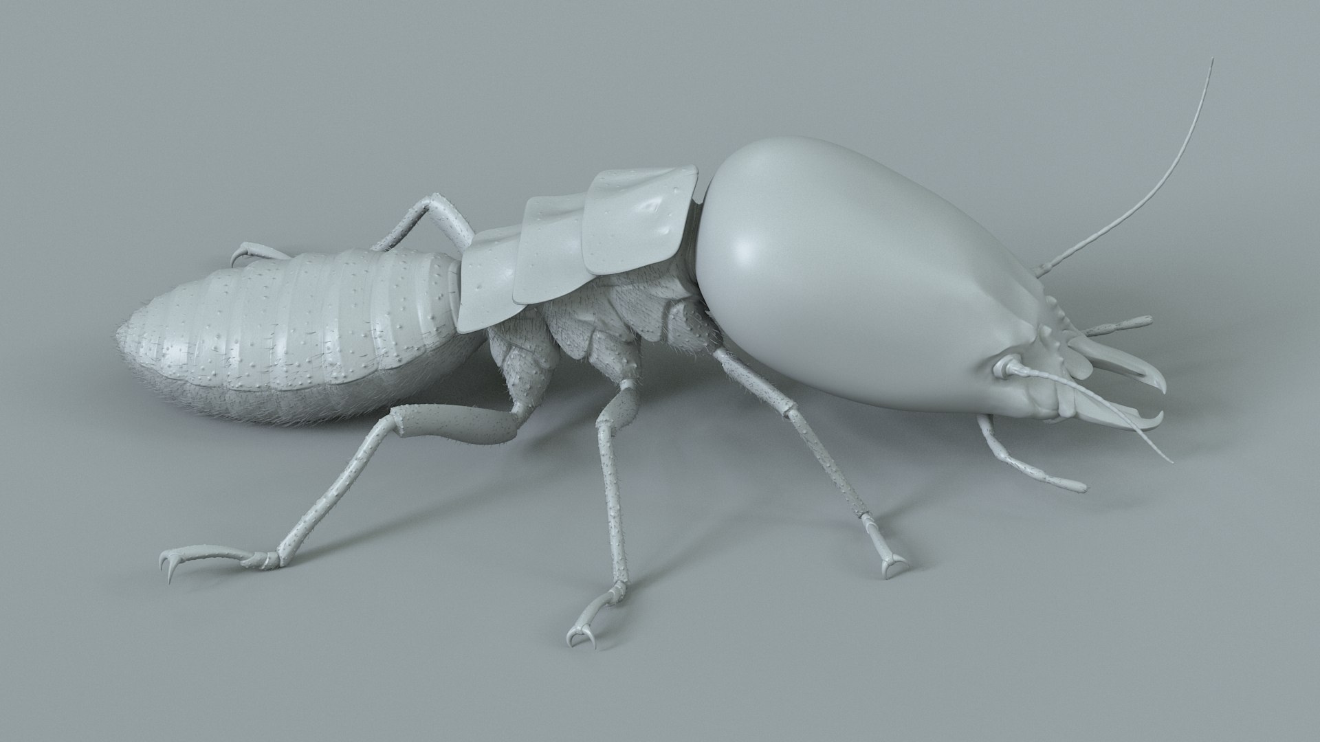 3D Termite Soldier Rigged Xgen https://p.turbosquid.com/ts-thumb/VG/I6dqz8/zw/termite_rigged_12/jpg/1715323009/1920x1080/fit_q87/f63556759287f6edcf21ef24f7b465925793e5a5/termite_rigged_12.jpg