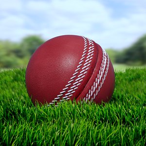cricket ball 3D