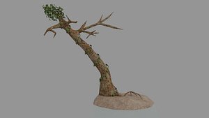 3D tree