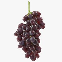 Cluster of Dark Grapes