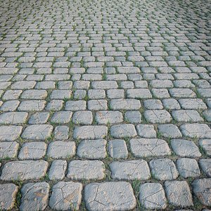 Cobblestones paving porphyry texture Material 3D Model $29 - .3ds .c4d .fbx  .obj .unknown - Free3D