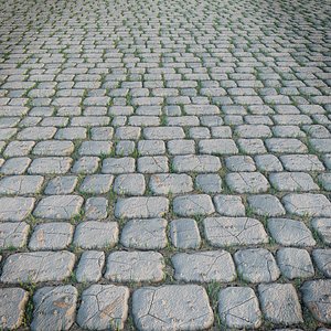 paving stone
