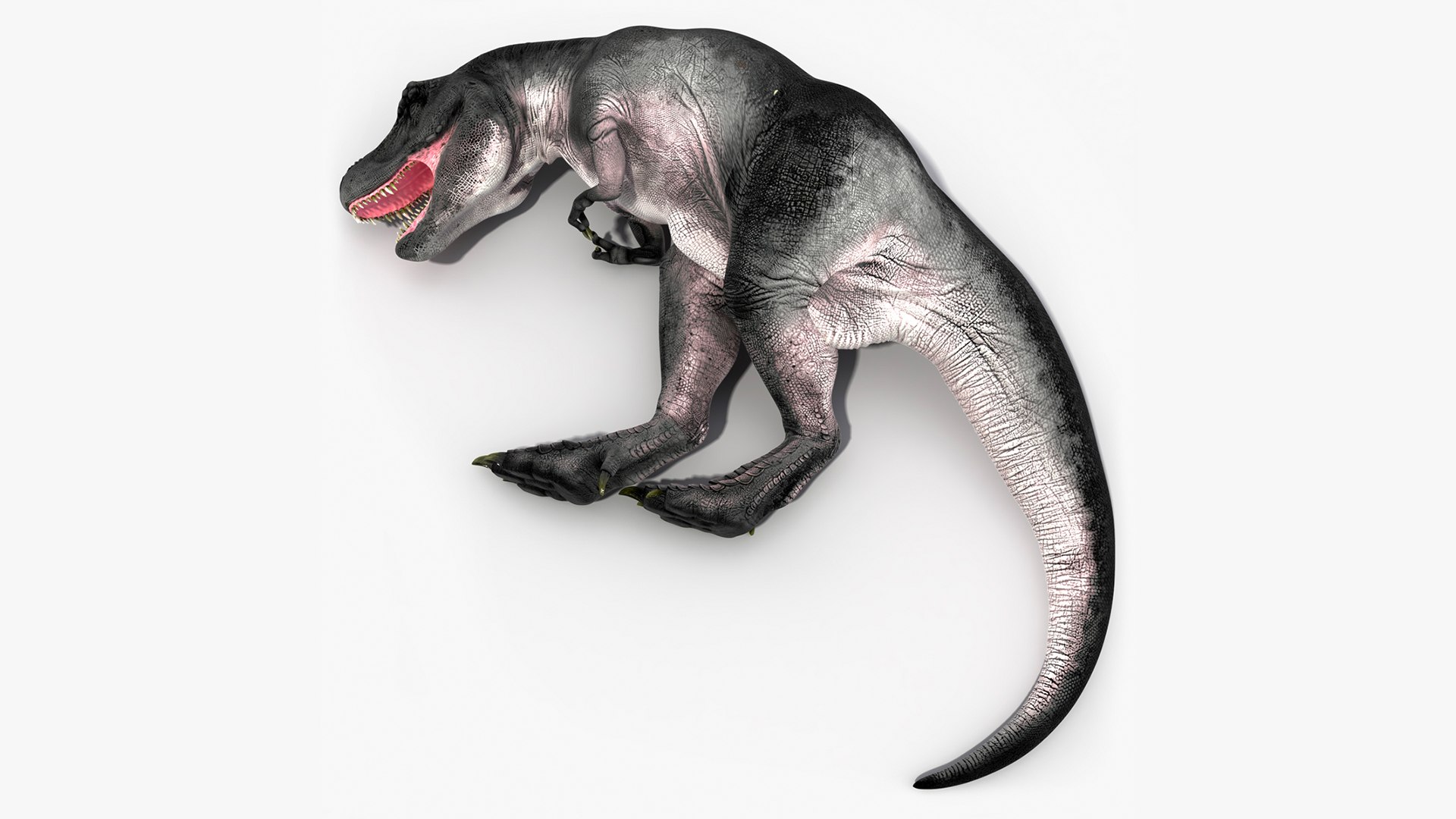 T Rex Sleep Pose 3D model preview