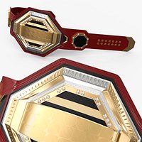 Golden Champion Belt