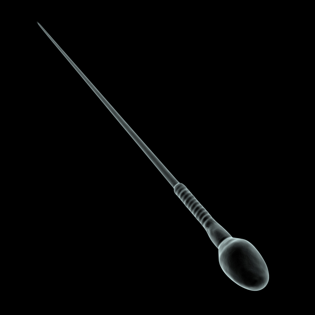 3d human egg sperm cells https://p.turbosquid.com/ts-thumb/VH/2RHVt3/2jkM7fer/rot/jpg/1353078261/1920x1080/turn_fit_q99/b37c988ab7843e49d1587dca5f714eec79a8eef6/rot-1.jpg