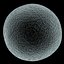 Human Egg and Sperm Cells