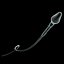 Human Egg and Sperm Cells
