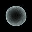 Human Egg and Sperm Cells