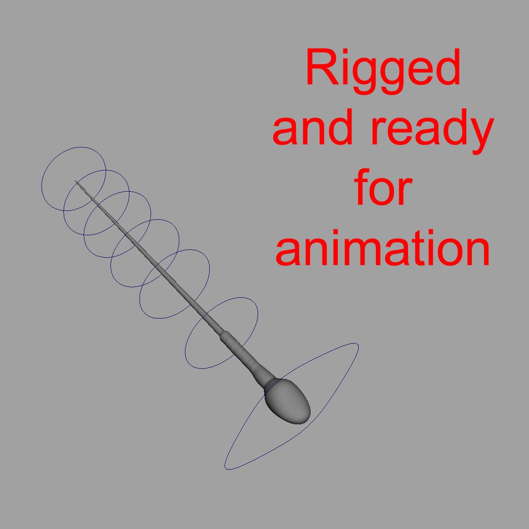 3d human egg sperm cells https://p.turbosquid.com/ts-thumb/VH/2RHVt3/GyMPgxGJ/rigged/jpg/1353078515/1920x1080/fit_q87/98655549ac429fd43135b625da908022464dcfb9/rigged.jpg