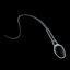 Human Egg and Sperm Cells