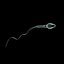 Human Egg and Sperm Cells