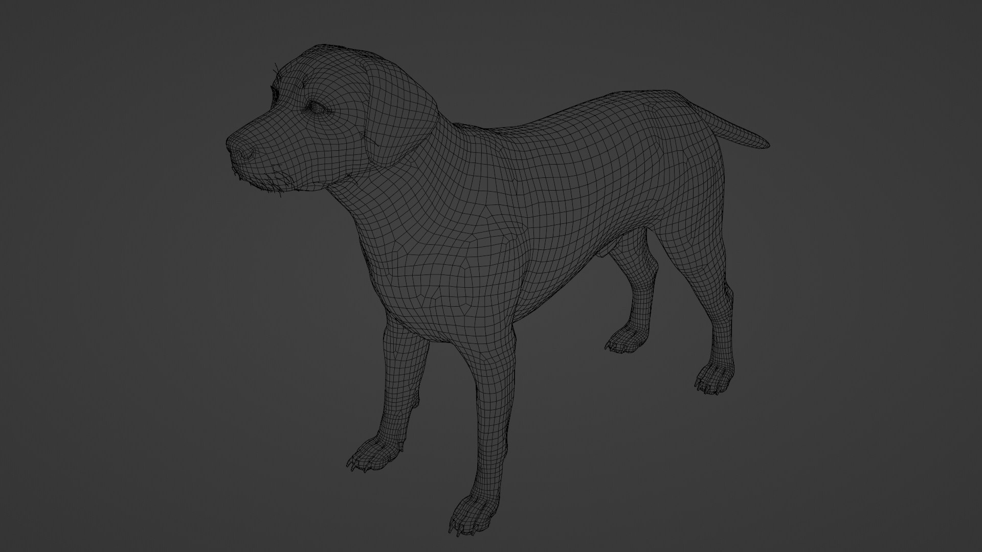 Dog Labrador Retriever 3D model https://p.turbosquid.com/ts-thumb/VH/5kR4GZ/0M/dog28/png/1719752320/1920x1080/fit_q87/13729a960c04b6e4b0f97275125851cd48b92229/dog28.jpg