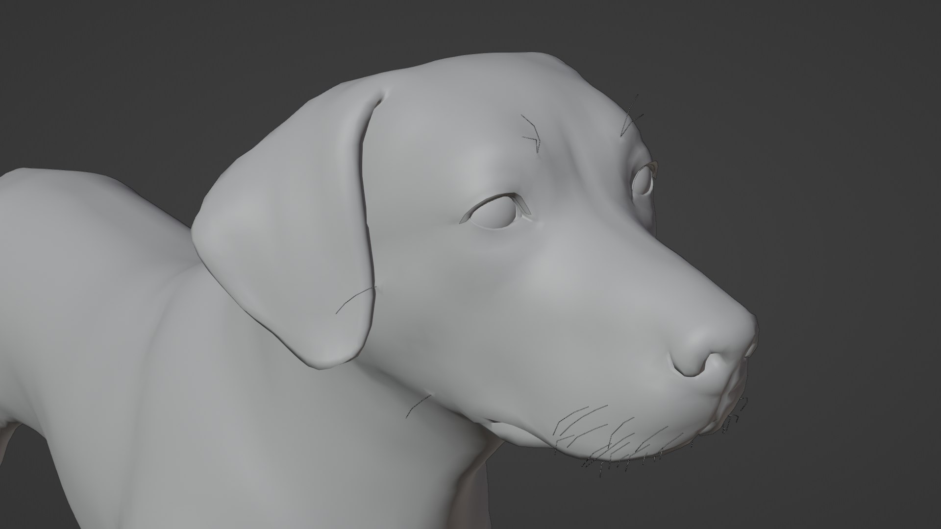 Dog Labrador Retriever 3D model https://p.turbosquid.com/ts-thumb/VH/5kR4GZ/0o/dog23/png/1719752315/1920x1080/fit_q87/153a63352ed5c0a741e0396cb9cfd0cf6bc3cd81/dog23.jpg