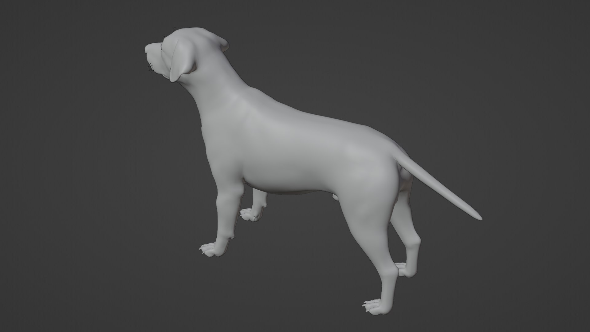 Dog Labrador Retriever 3D model https://p.turbosquid.com/ts-thumb/VH/5kR4GZ/A7/dog19/png/1719752310/1920x1080/fit_q87/d9944ed95249af119460deb5db912f9837d4d84a/dog19.jpg