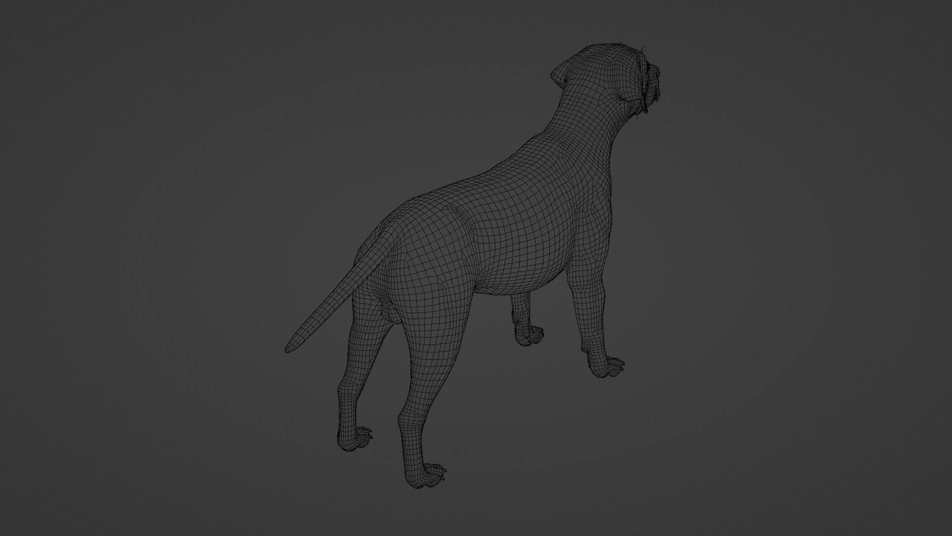 Dog Labrador Retriever 3D model https://p.turbosquid.com/ts-thumb/VH/5kR4GZ/L8/dog30/png/1719752323/1920x1080/fit_q87/3eff89549324a3bdc6a0024584c9fbc58038e220/dog30.jpg