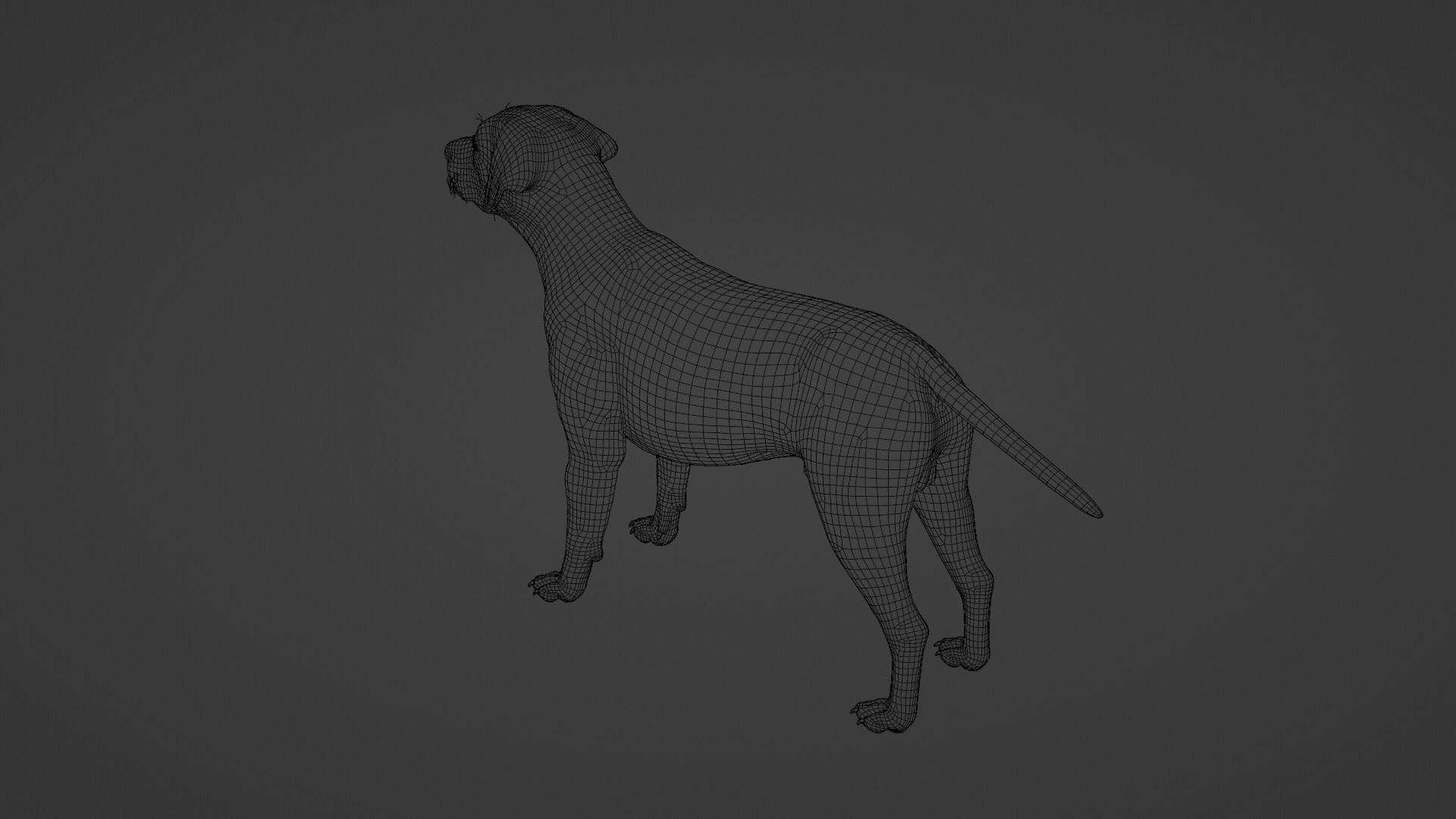 Dog Labrador Retriever 3D model https://p.turbosquid.com/ts-thumb/VH/5kR4GZ/U9/dog31/png/1719752324/1920x1080/fit_q87/05229df9234762ed4c9721552acf07a6a15518b7/dog31.jpg
