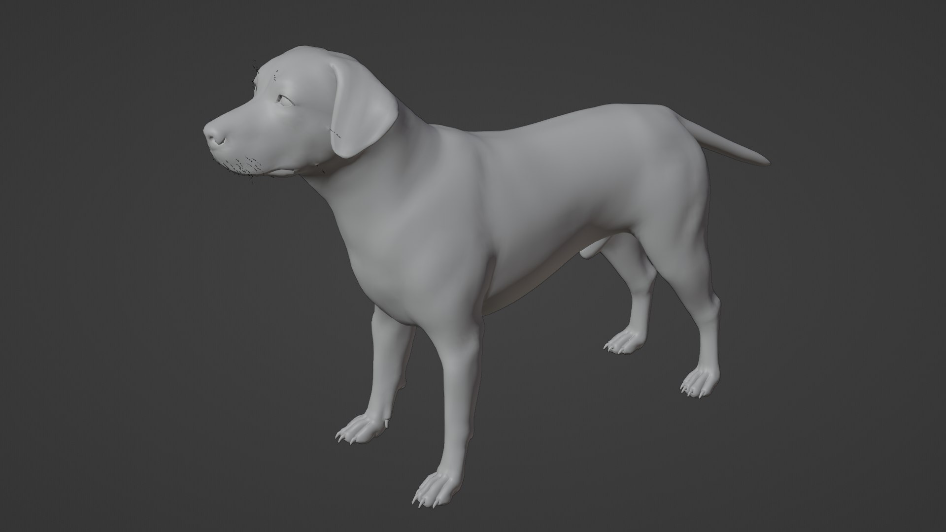 Dog Labrador Retriever 3D model https://p.turbosquid.com/ts-thumb/VH/5kR4GZ/UE/dog14/png/1719752304/1920x1080/fit_q87/f8538c57ccb072111297812c94fbbfb4a48b1c1c/dog14.jpg