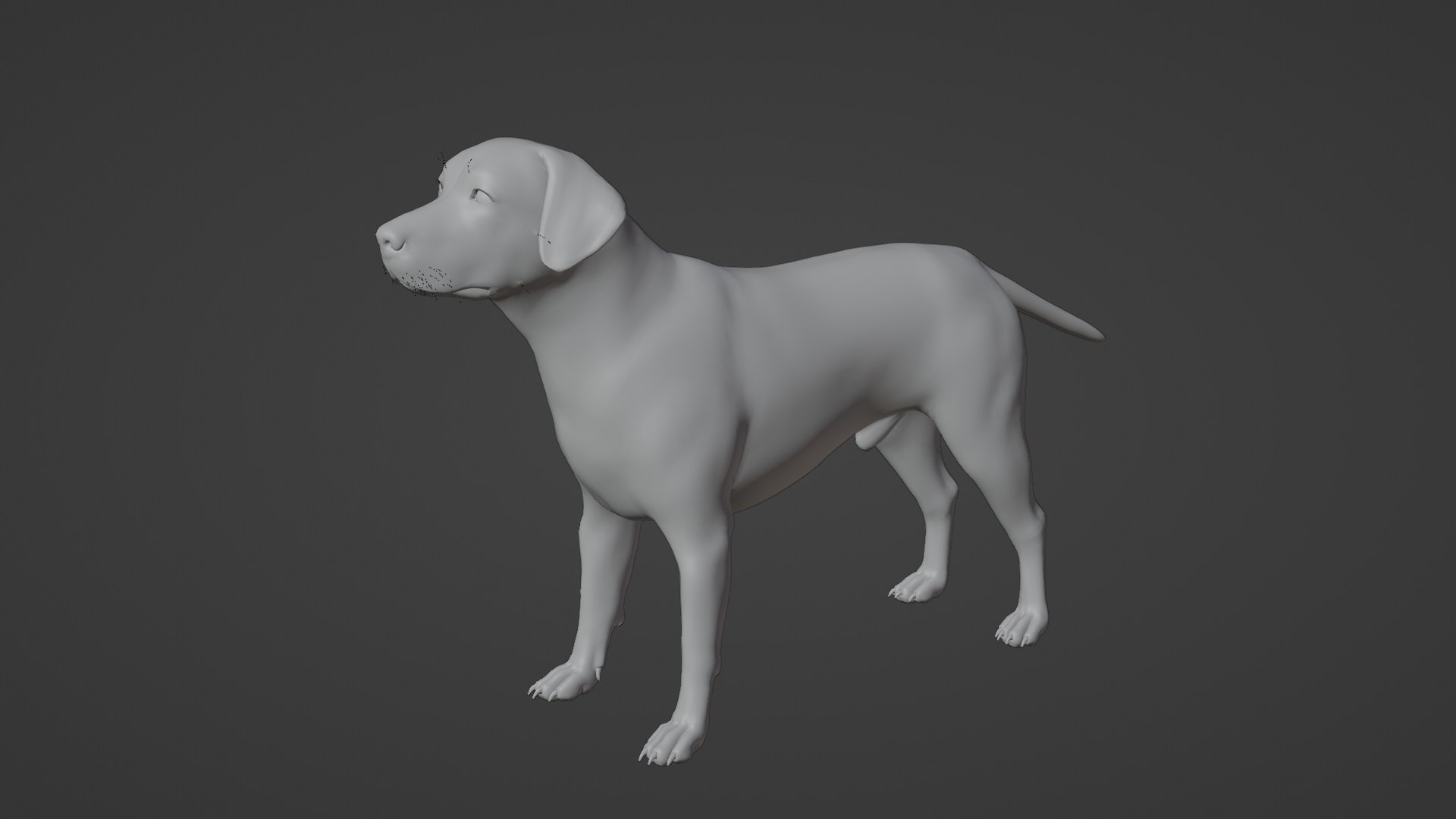 Dog Labrador Retriever 3D model https://p.turbosquid.com/ts-thumb/VH/5kR4GZ/nb/dog21/png/1719752312/1920x1080/fit_q87/72eacde7bddcf817983a339a4a993a5b9e81522c/dog21.jpg