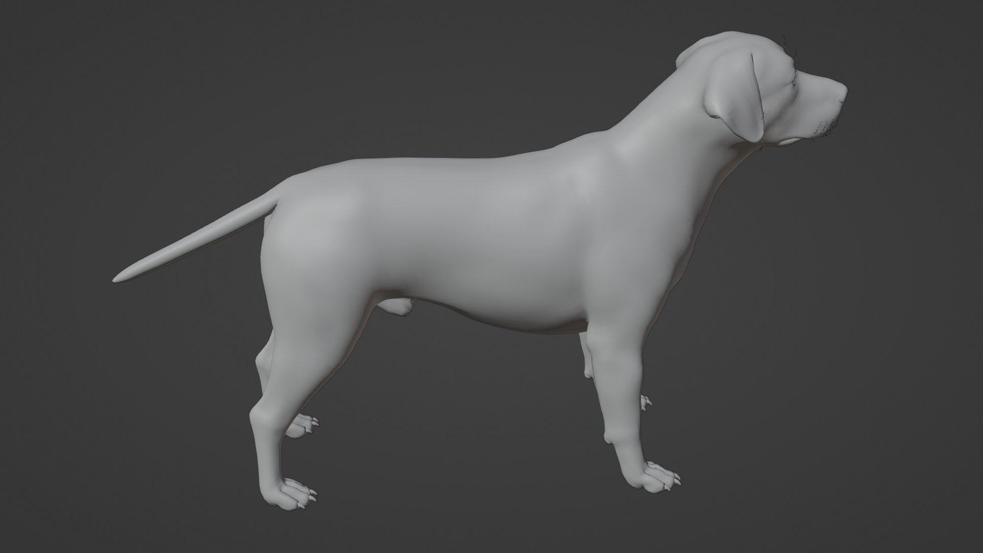 Dog Labrador Retriever 3D model https://p.turbosquid.com/ts-thumb/VH/5kR4GZ/qx/dog17/png/1719752308/1920x1080/fit_q87/f2f5bf7387eea4db81f9220a37e15142aace35e1/dog17.jpg
