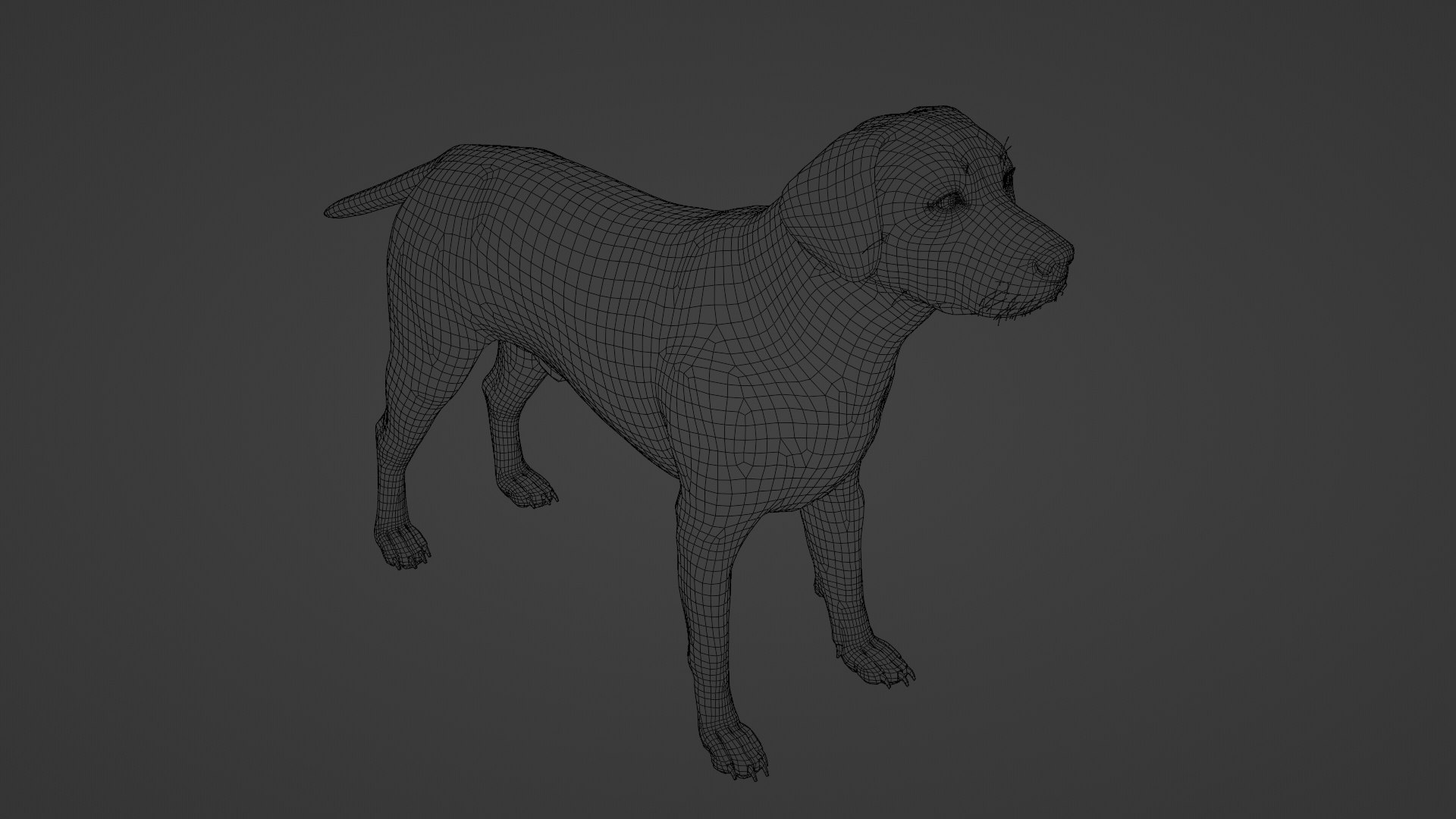 Dog Labrador Retriever 3D model https://p.turbosquid.com/ts-thumb/VH/5kR4GZ/ze/dog29/png/1719752322/1920x1080/fit_q87/cdf950d4a22760f5f598a2c18d6da3b17578e669/dog29.jpg