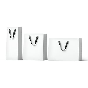 3D model White Paper Gift Bag 3 Type - craft shopping package set