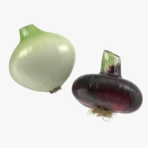 onion 3D