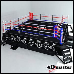 3D hd boxing ring