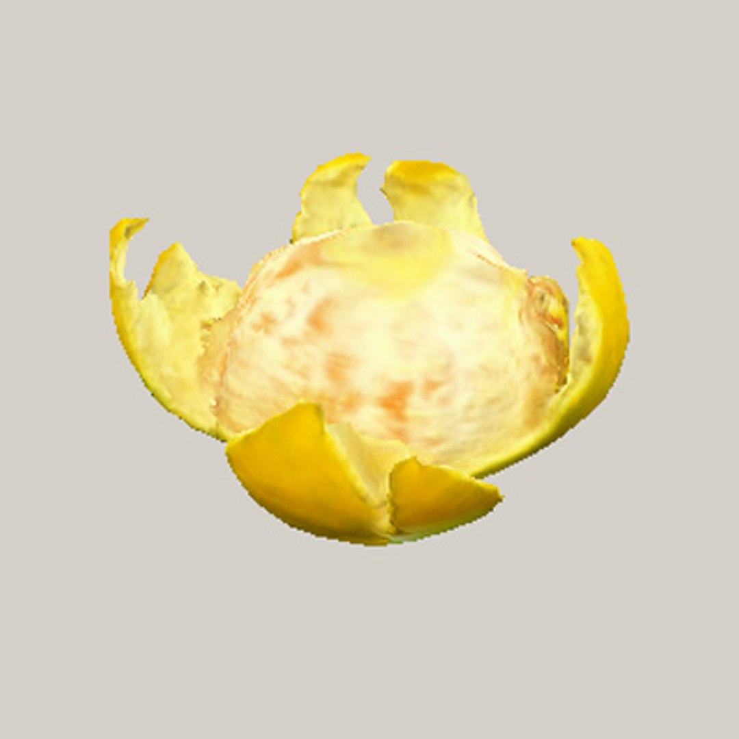 3d model orange mandarin peels https://p.turbosquid.com/ts-thumb/VH/DCTX4r/Sh4t4M6h/orange_07/jpg/1160754239/1920x1080/fit_q87/0d9e151232c03b726f571d08a920473c127906a2/orange_07.jpg