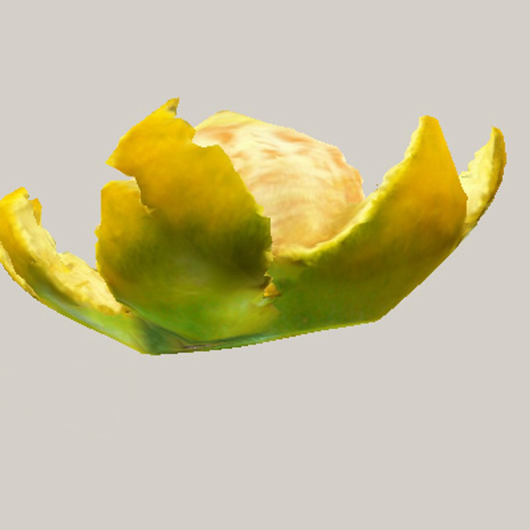 3d model orange mandarin peels https://p.turbosquid.com/ts-thumb/VH/DCTX4r/WwBoXigk/orange_08/jpg/1160754247/1920x1080/fit_q87/d8d76aafdca89b795a83fb89a38a5f89907045d7/orange_08.jpg