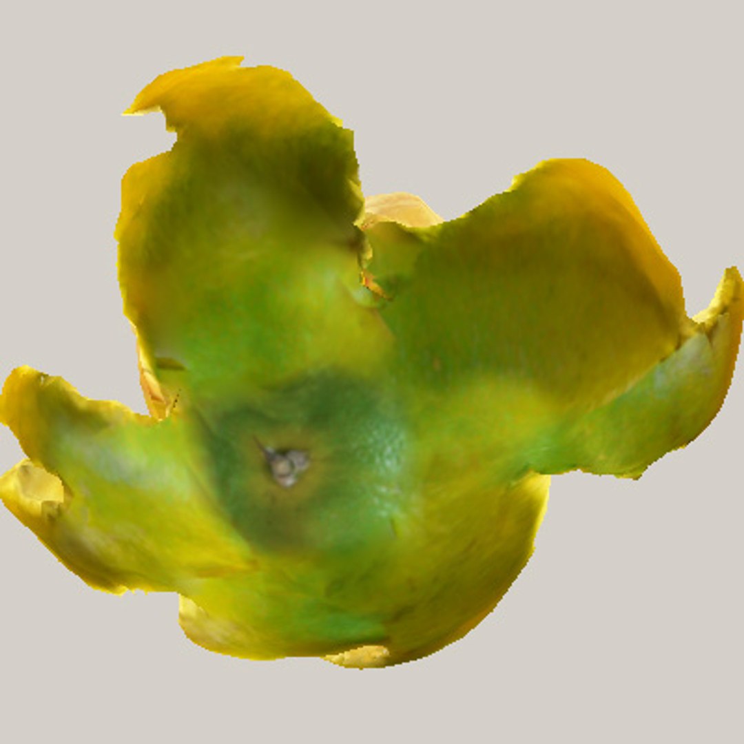 3d model orange mandarin peels https://p.turbosquid.com/ts-thumb/VH/DCTX4r/m39uv6oS/orange_09/jpg/1160754257/1920x1080/fit_q87/1da38699ffaae6c31d2c40e080326602b07905f5/orange_09.jpg
