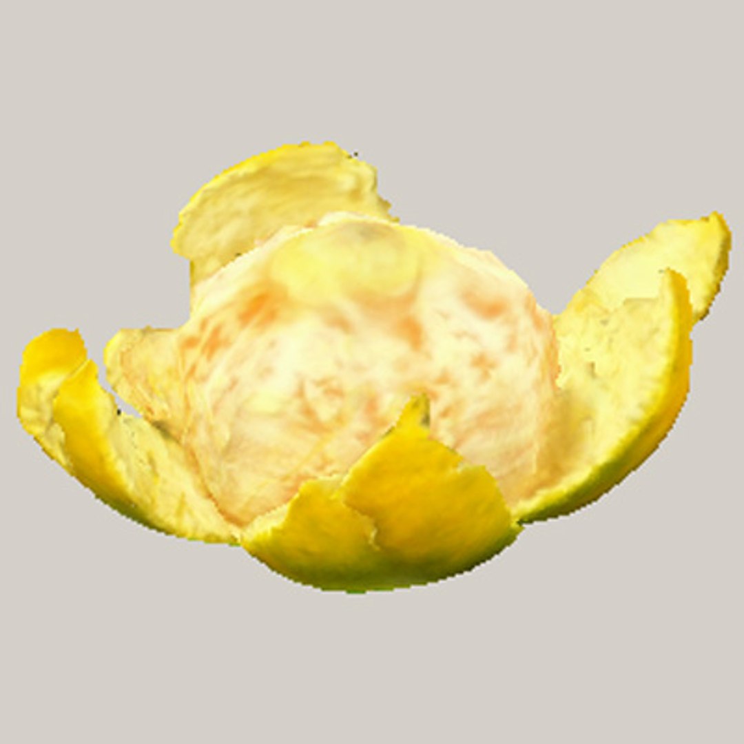 3d model orange mandarin peels https://p.turbosquid.com/ts-thumb/VH/DCTX4r/mBFFC0UO/orange_06/jpg/1160754231/1920x1080/fit_q87/089bbd62f44f8a750aa13909fe09985d42802ad0/orange_06.jpg