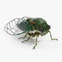 Cicada Static