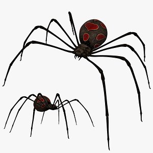 lightwave black widow latrodectus mactans