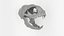 cat skull 3D model