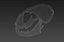 cat skull 3D model