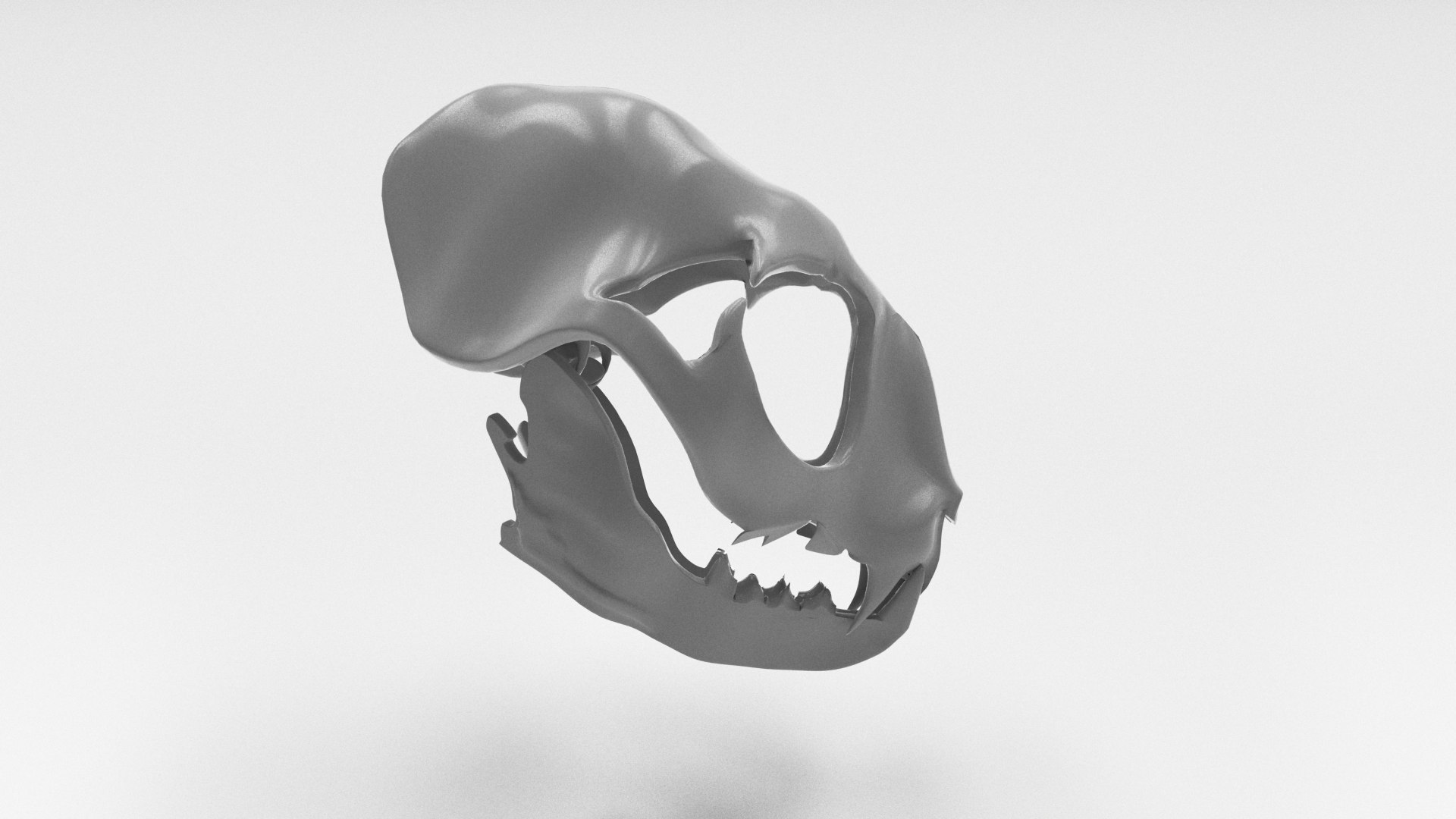 cat skull 3D model https://p.turbosquid.com/ts-thumb/VH/ksYvN6/wDSTqqAY/2/jpg/1551805282/1920x1080/fit_q87/4c3efcd3166e172d565360dab98e222714fd4bf4/2.jpg