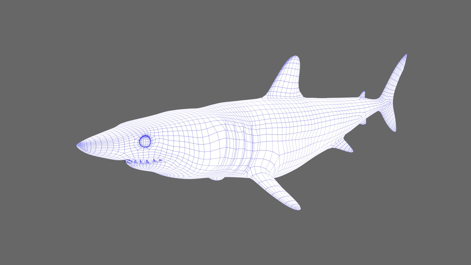 3D shortfin mako shark model - TurboSquid 1393204