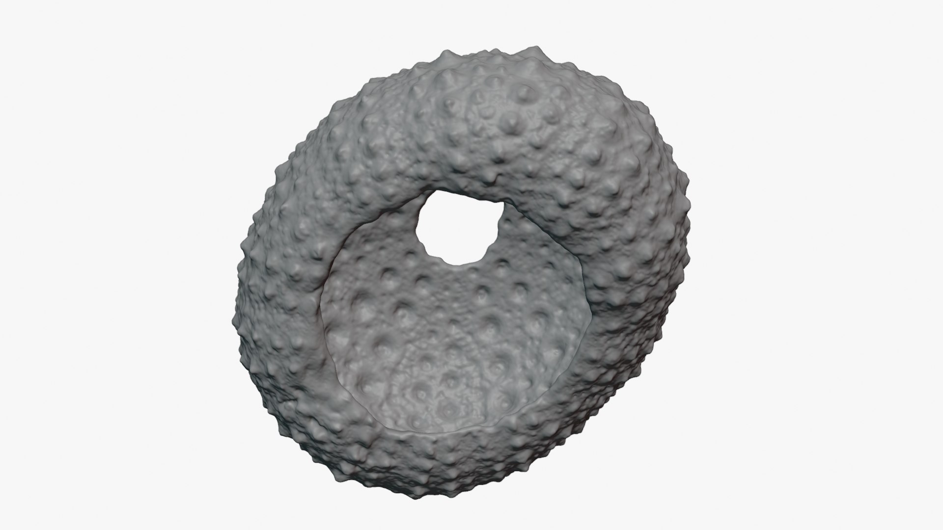 3D Sea Urchin 01  - For 3D Print model https://p.turbosquid.com/ts-thumb/VH/v1ZIRs/0R/seaurchin01_0007/png/1762002691/1920x1080/fit_q87/b8db725234a01f3eb0b05a1c1bed63c98b2746ca/seaurchin01_0007.jpg