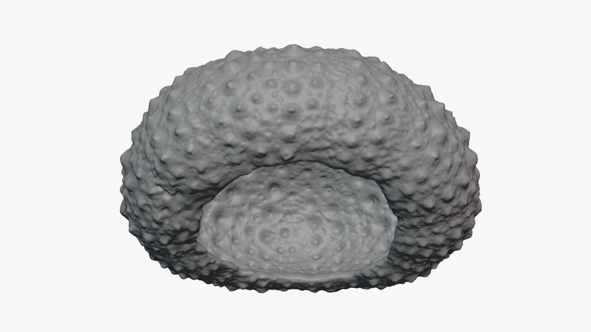 3D Sea Urchin 01  - For 3D Print model https://p.turbosquid.com/ts-thumb/VH/v1ZIRs/Je/seaurchin01_0006/png/1762002691/1920x1080/fit_q87/81b990756aebd6c82f3ce70428a0e79533d26a59/seaurchin01_0006.jpg