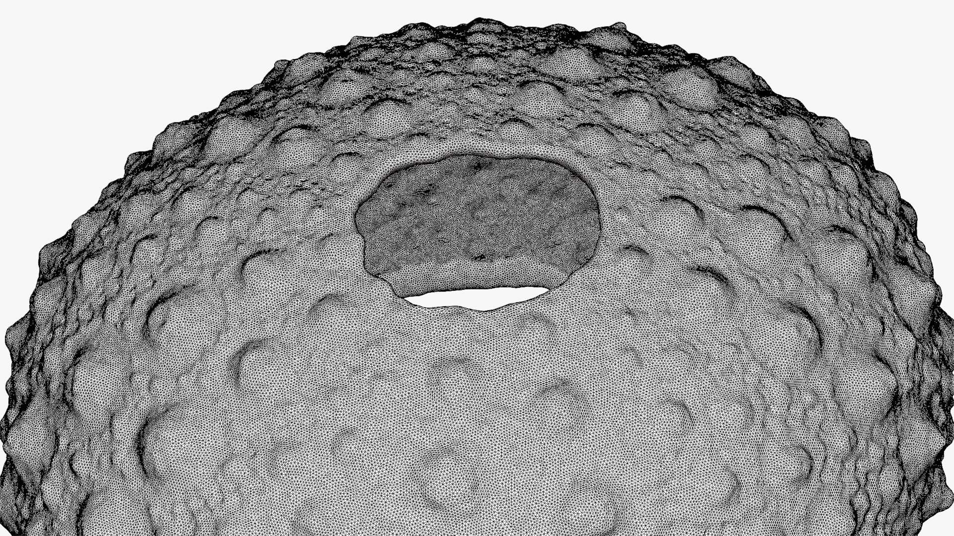 3D Sea Urchin 01  - For 3D Print model https://p.turbosquid.com/ts-thumb/VH/v1ZIRs/RP/seaurchin01_d0000/png/1762002709/1920x1080/fit_q87/c923c890ea249bd70b91393d2ad742101d10e9af/seaurchin01_d0000.jpg
