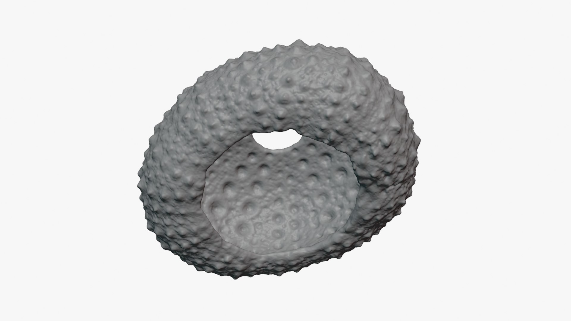 3D Sea Urchin 01  - For 3D Print model https://p.turbosquid.com/ts-thumb/VH/v1ZIRs/uP/seaurchin01_0003/png/1762002685/1920x1080/fit_q87/e53e8b80659a7d7d8107b2e30e6e68cba3f50e32/seaurchin01_0003.jpg