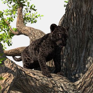 3D Black Leopard Cub on Ancient Twisted Tree Fur