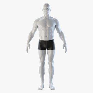 athletic rigged human body 3D model