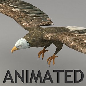 Lowpoly animated flying eagle