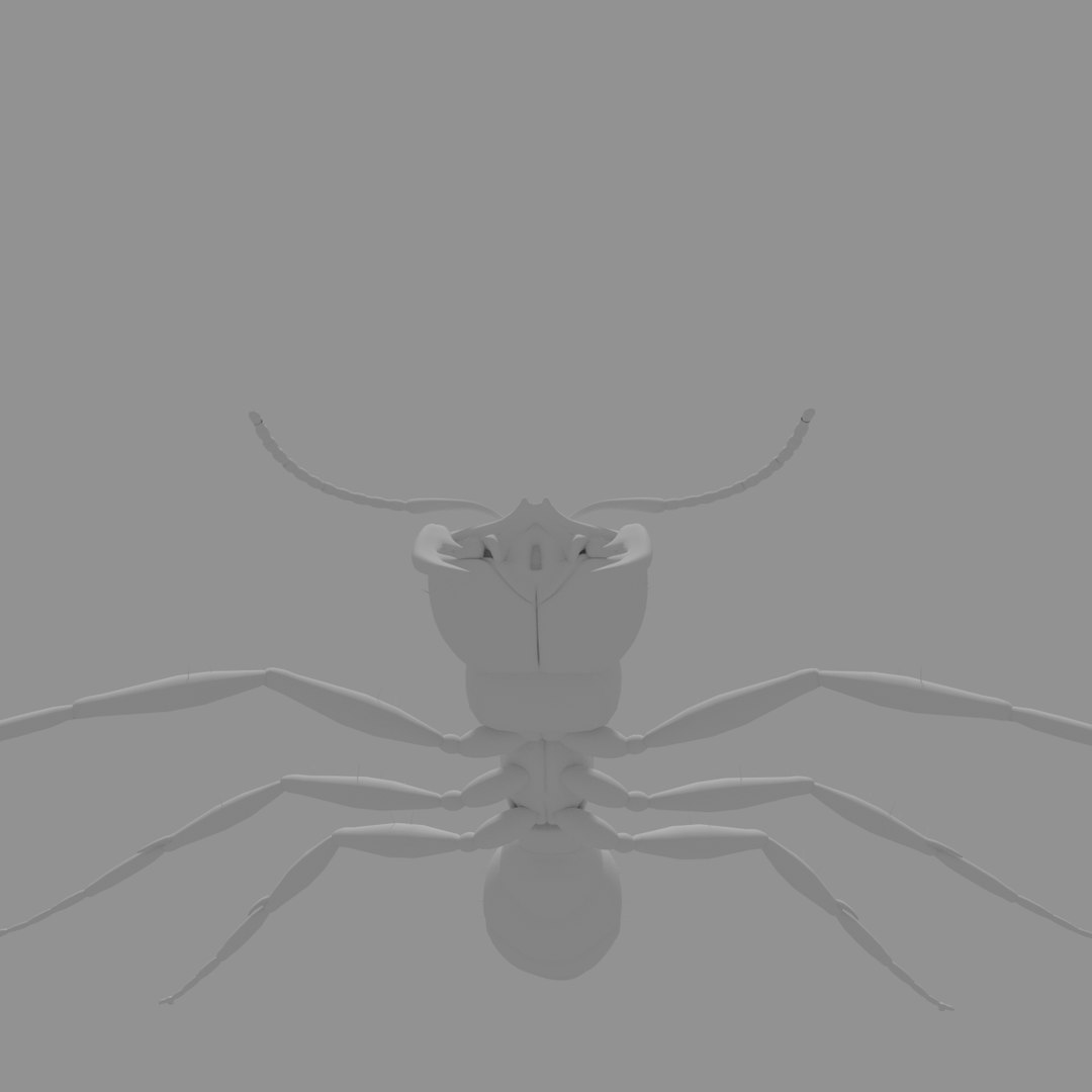 3D army ant worker model https://p.turbosquid.com/ts-thumb/VI/eUPsAm/5WEsuwL6/0010/png/1506293276/1920x1080/fit_q87/ce0ffc46e57ec732874be46d2a39f667c3be84ee/0010.jpg