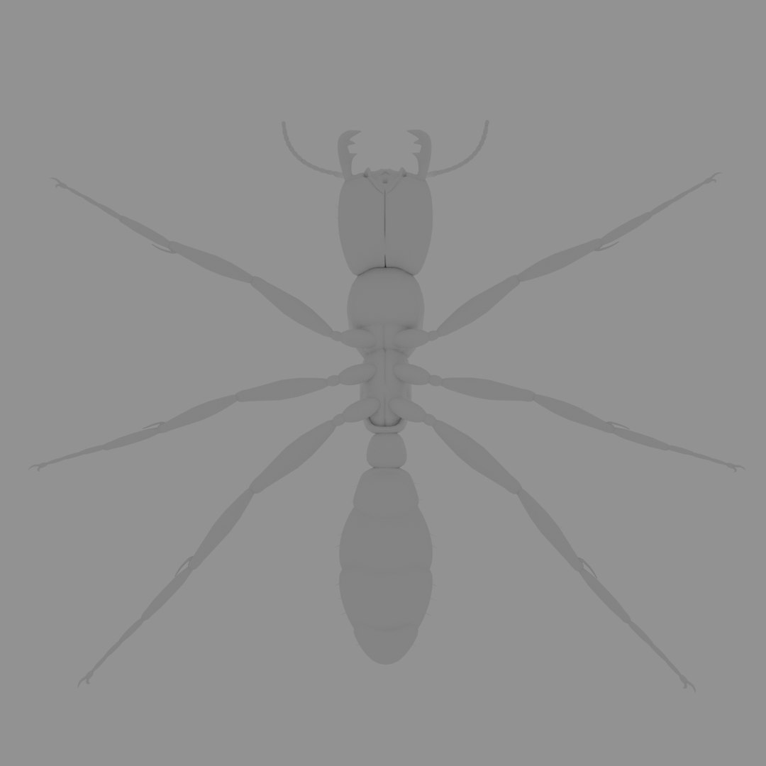 3D army ant worker model https://p.turbosquid.com/ts-thumb/VI/eUPsAm/7fsmzCJ8/0011/png/1506293276/1920x1080/fit_q87/a0b80c97c16528a64eb4dd8124238f48f07ad4e3/0011.jpg