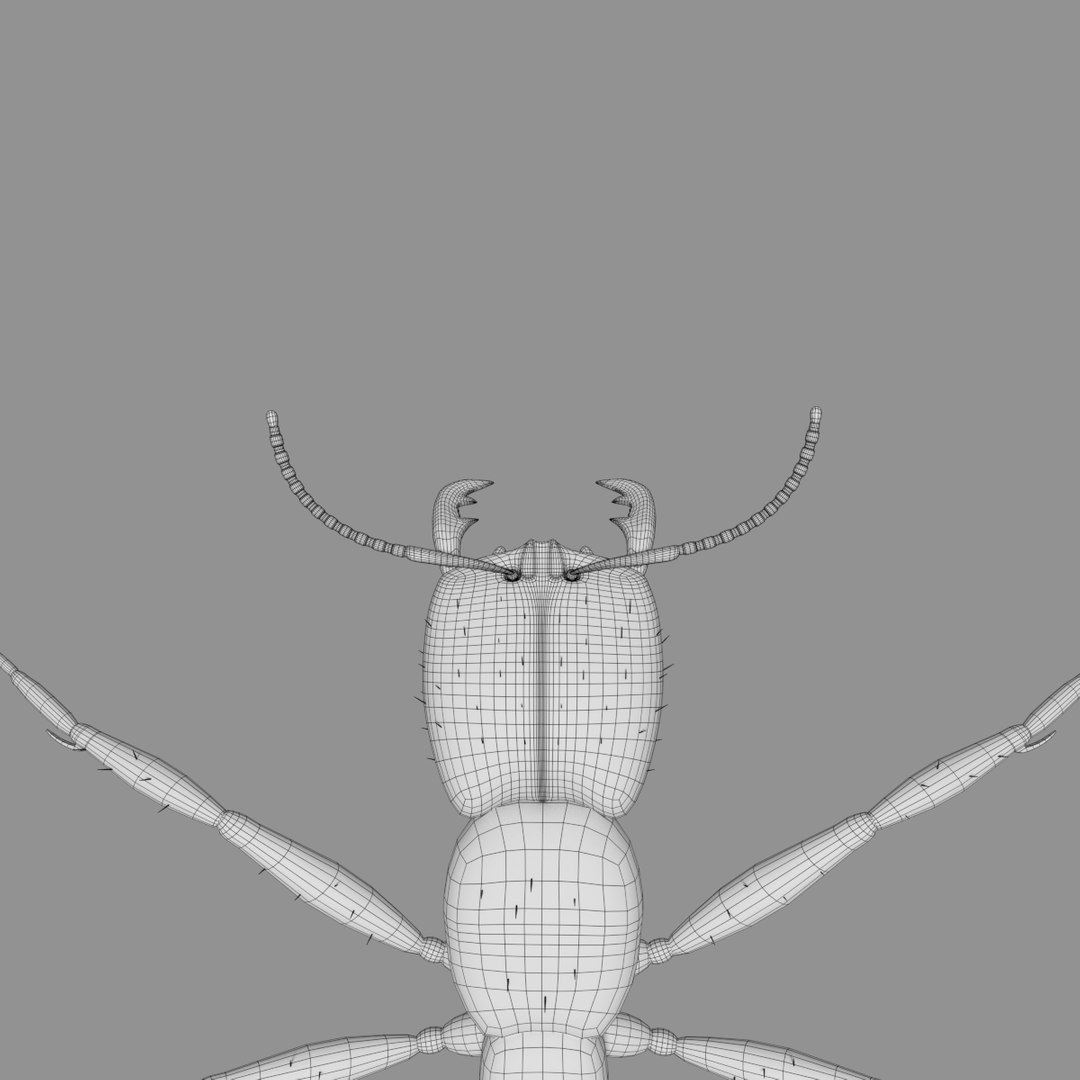 3D army ant worker model https://p.turbosquid.com/ts-thumb/VI/eUPsAm/Av2rWhk0/0007/png/1506293320/1920x1080/fit_q87/7e6f4bc9a73e12b9c08c49873c37d1f9849e600a/0007.jpg
