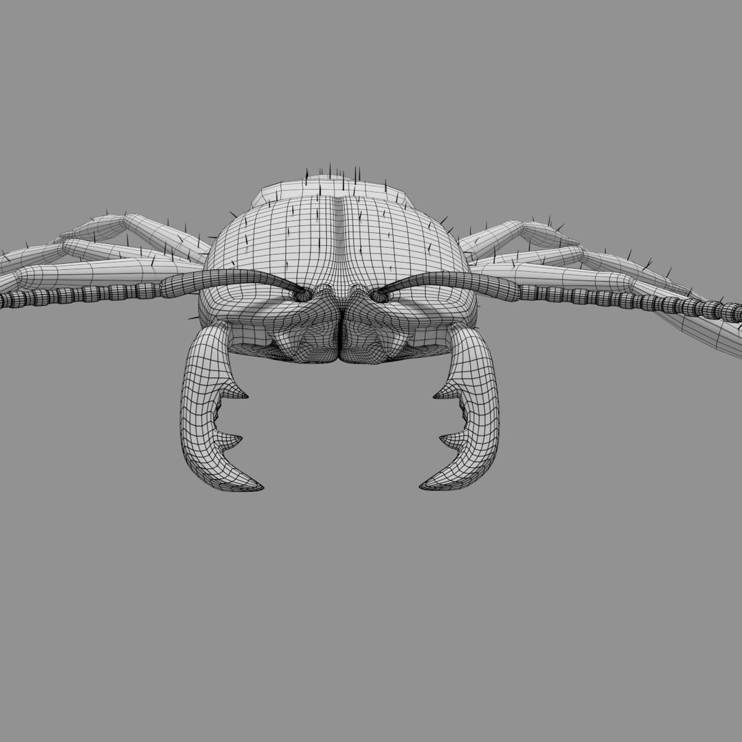3D army ant worker model https://p.turbosquid.com/ts-thumb/VI/eUPsAm/EtiRCbpU/0018/png/1506293320/1920x1080/fit_q87/e298b4f2df859e5436a9315a969397c3089fbfe5/0018.jpg