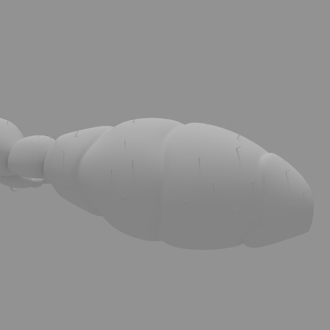 3D army ant worker model https://p.turbosquid.com/ts-thumb/VI/eUPsAm/JUj30luJ/0015/png/1506293276/1920x1080/fit_q87/408d3a805abf9041cb774314a07ad79fe13f6499/0015.jpg
